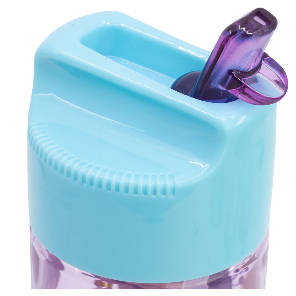 Garrafa pequena Ecozen Hydro 430ml - Princess Courageous Heart