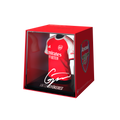 Figura My Jersey - Arsenal: Viktor Gyokeres (Home 2025 / 2026)