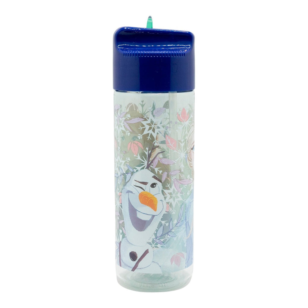 Garrafa pequena Ecozen Hydro 430ml - Frozen Snowy Tale