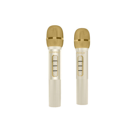 Conjunto de microfone e coluna de som LED Golden K-POP Demon Hunter para karaoke