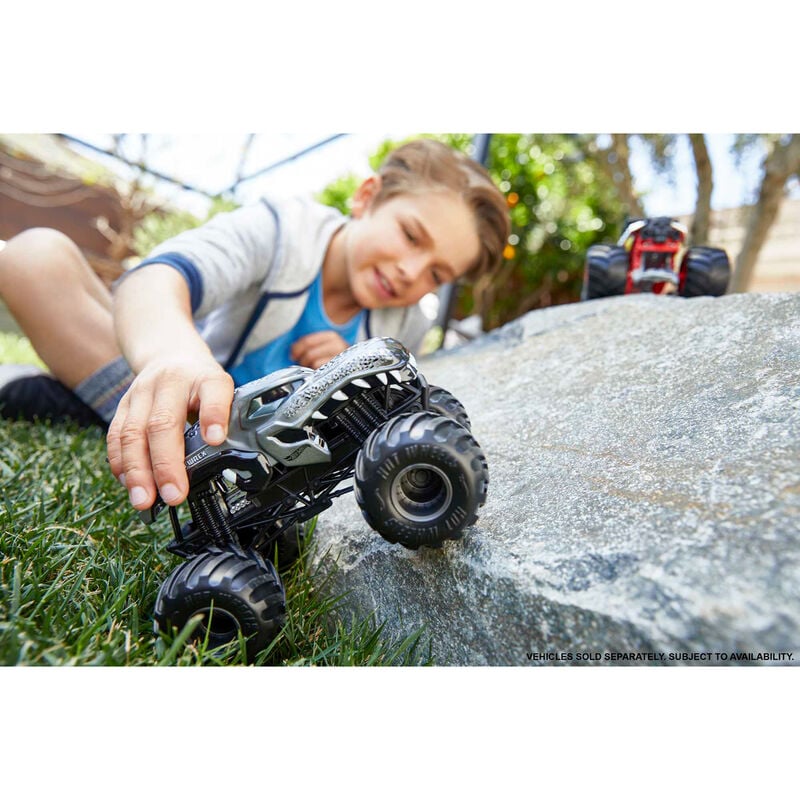 Carro Monster Trucks Hot Wheels Sortido